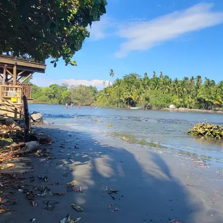 Where a river meets a palm-lined beach