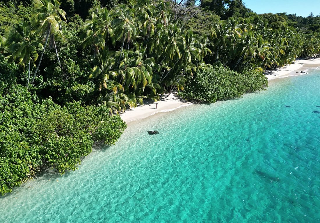 Palm-lined beach and turquoise water on Panama&rsquo;s Pacific coast