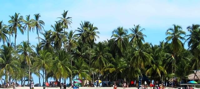 Palm-covered island with white sand in Guna Yala (San Blas)